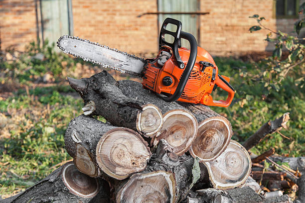 Tree Service Company in Sanford, ME